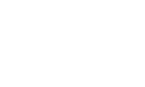 Hornet Security logo